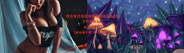 таблы Алексеевка