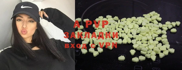 гидра Аркадак