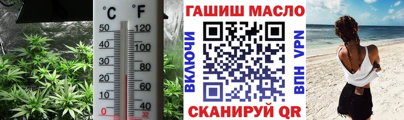 Дистиллят ТГК THC oil  закладка  Майкоп 