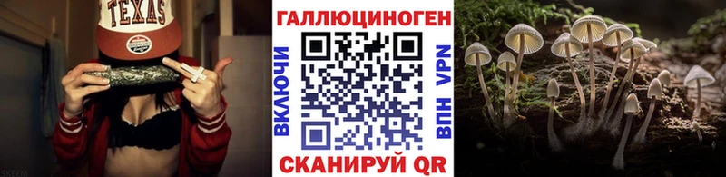 купить наркотик  Майкоп  Галлюциногенные грибы MAGIC MUSHROOMS 
