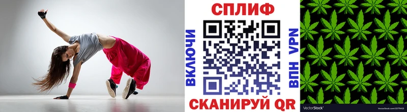 даркнет наркотические препараты сколько стоит Майкоп МАРИХУАНА White Widow omg